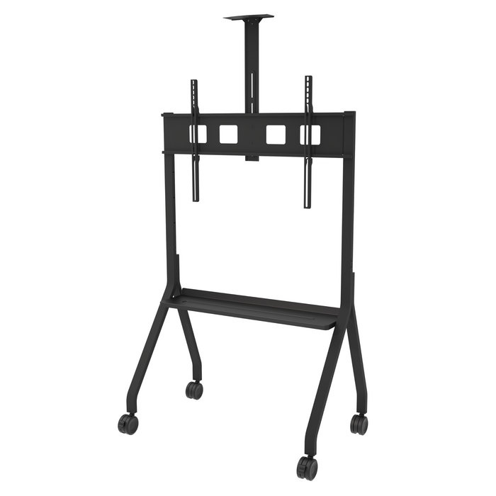 Paramount™ Flat Panel Cart